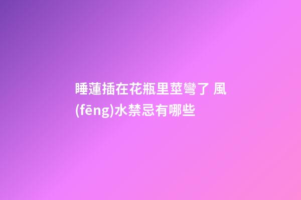 睡蓮插在花瓶里莖彎了 風(fēng)水禁忌有哪些